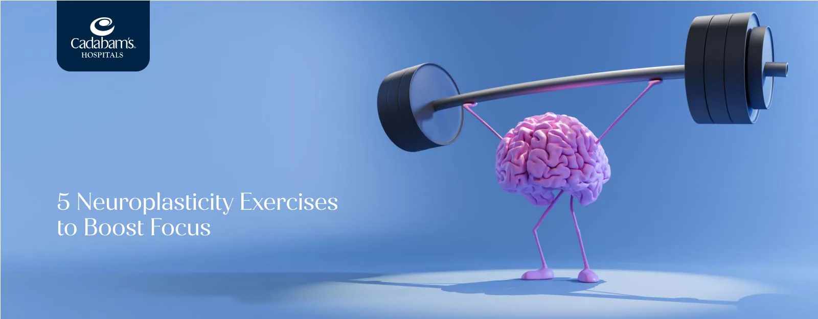 Neuroplastic Exercises to Boost Focus: Techniques Explained