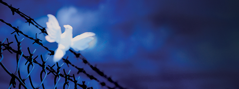 Falling Out of Life Coping with Struggles and Healing