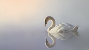 Bipolar Depression Symptoms